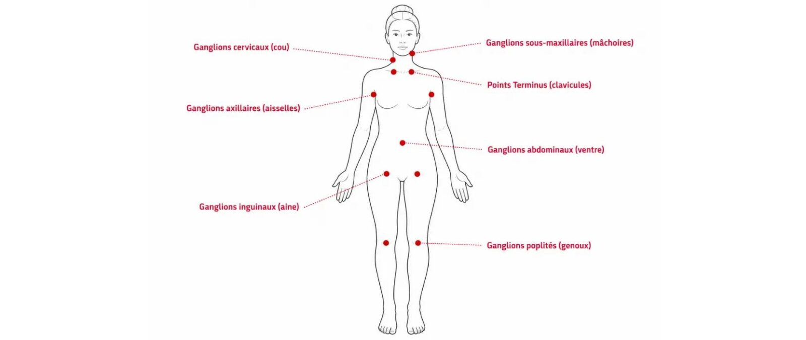 les différentes zones du corps pour un drainage lymphatique